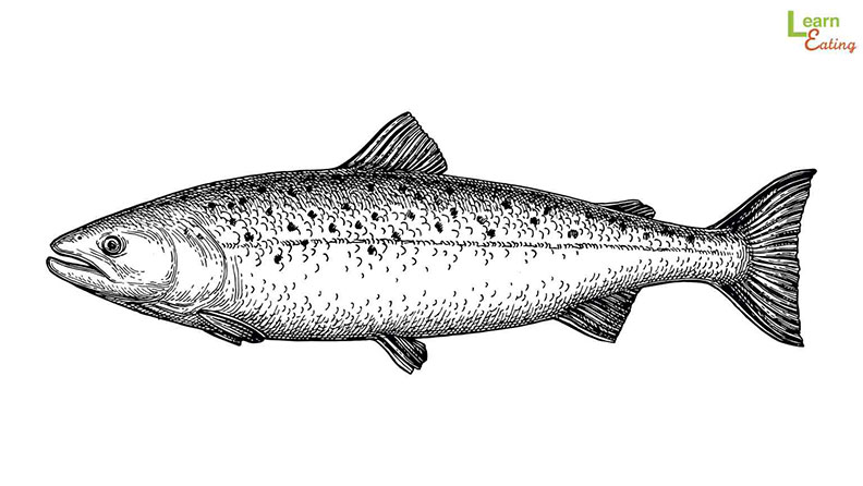 鮭魚蛋白聚醣亦被認可為「機能性表示」食品原料。