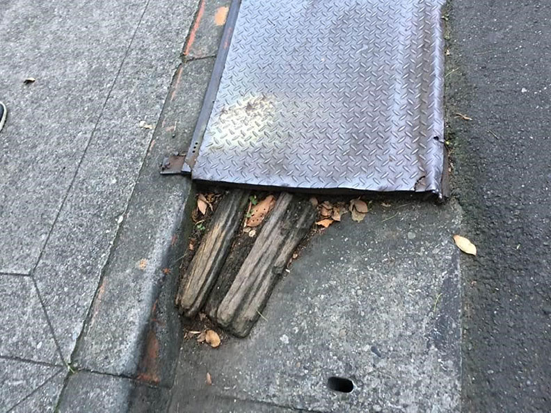 下雨後路面堆積樹葉或枯枝,增高跌倒的風險。