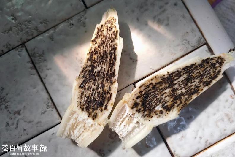 有黑點的茭白筍。