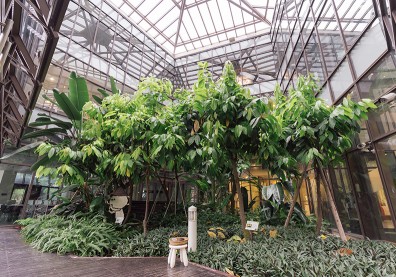 宏亞食品綠色工廠，絕不為難地球！