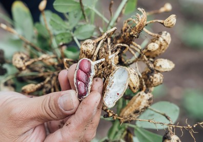 以創新為DNA，宏亞食品跟著台灣人一起長大