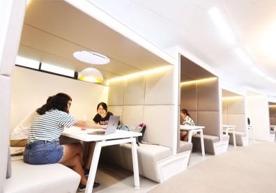 大學不分系是培育天才，還是寵壞沒定性的小孩？
