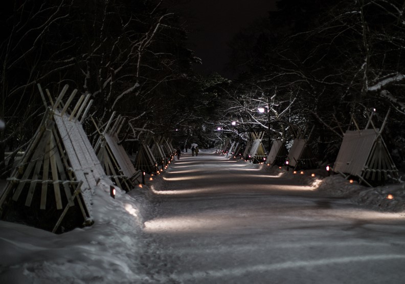 弘前雪燈籠祭。圖片來自青森縣觀光資訊網，©版權由青森縣所有