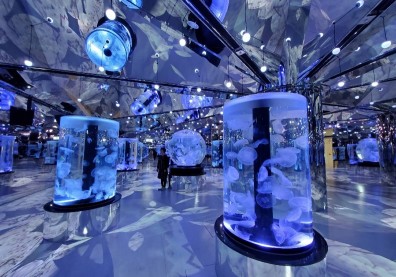 【有片】又萌又療癒！「桃園Xpark水族館」沉浸五感體驗：企鵝陪你喝咖啡、水母帶你穿梭仙境