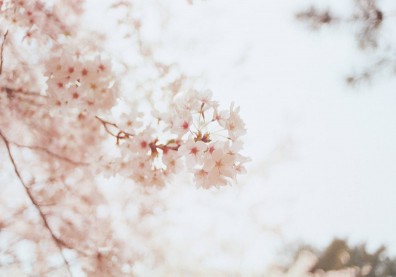 生死這堂課：我們要幫的，應是活人