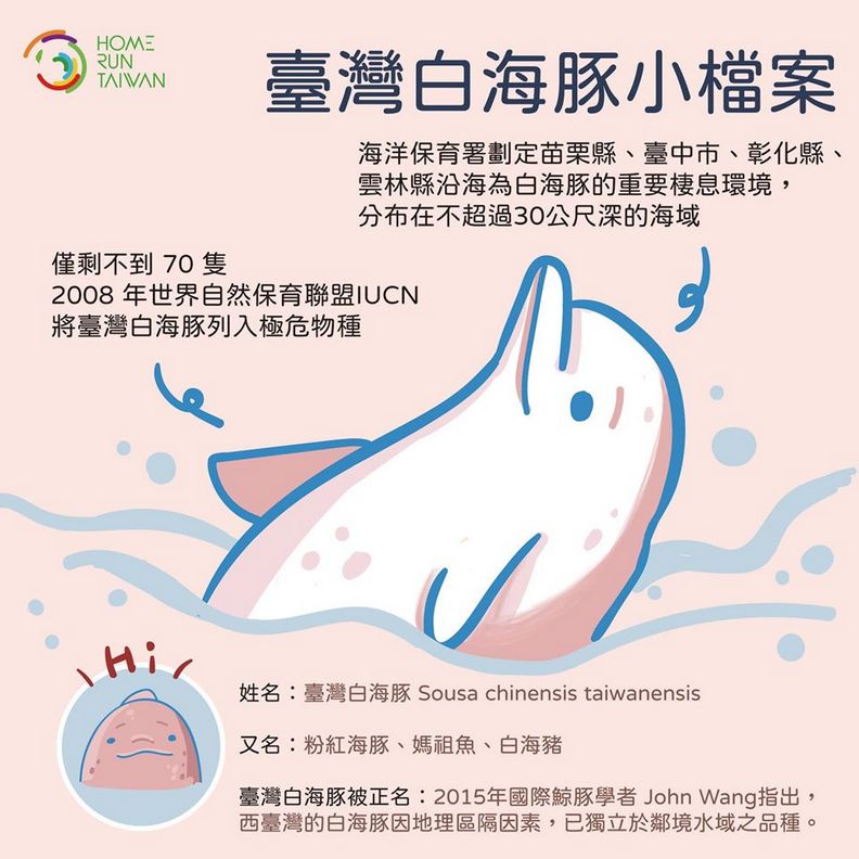 台灣白海豚小檔案/Home Run Taiwan