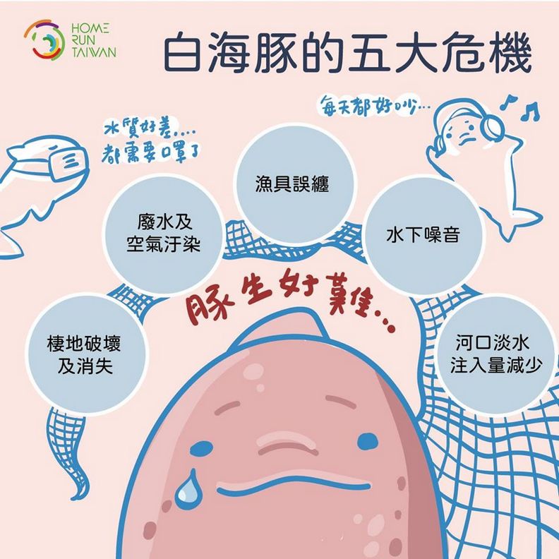 台灣白海豚的5大危機／Home Run Taiwan
