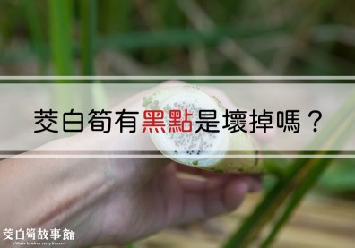 茭白筍黑黑的還能吃嗎？菰黑穗菌與茭白筍黑點的祕密關係