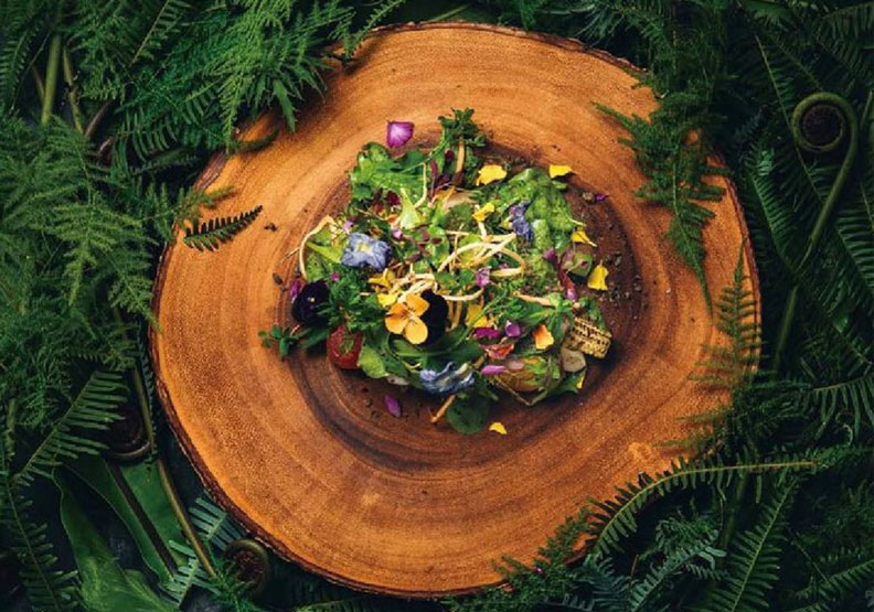 MUME。取自MUME臉書