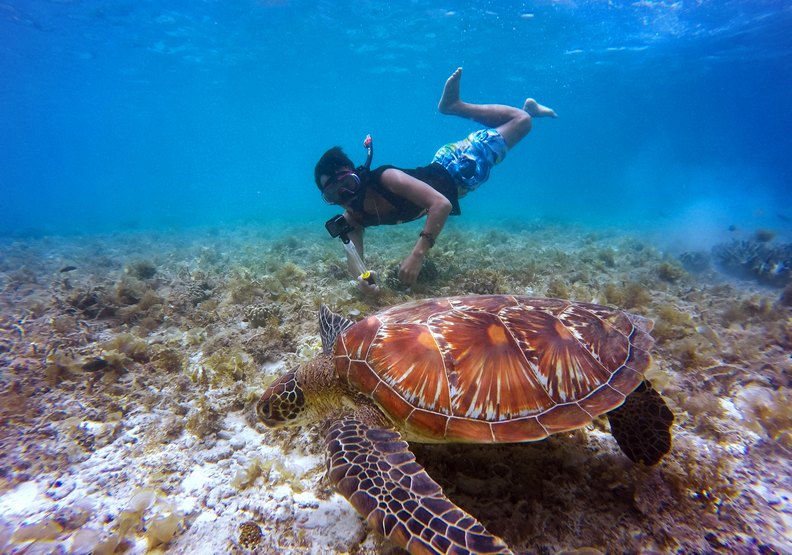 大海底下豐富的自然資源是瑰寶