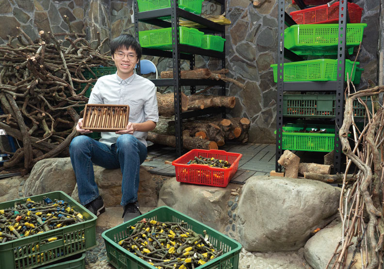 為解決農棄問題製作手工筆的徐振捷。