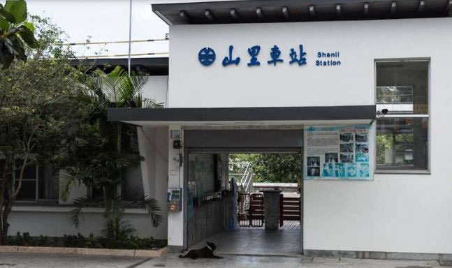 山里火車站建設於2013年,站長和好多貓咪小狗當鐵道員迎接居民回家。(圖片翻攝/台東觀光旅遊網)