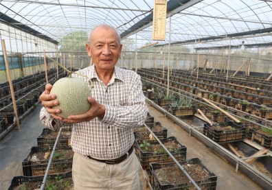 七年血本無歸到千元洋香瓜，水良伯靠「小農突圍學」打造傳奇！