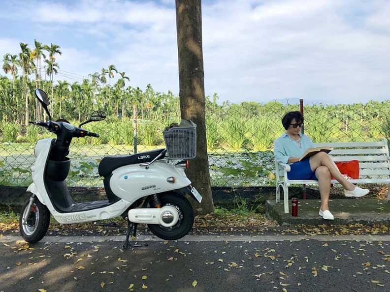 愜意的鄉居時光,隨處都可以是閱讀角落。