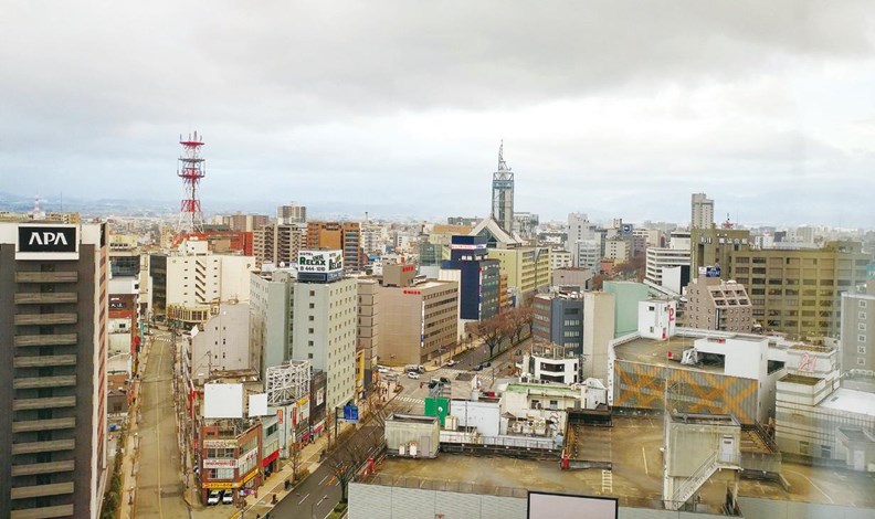 由寬廣道路和大型街區為主組成的富山市。