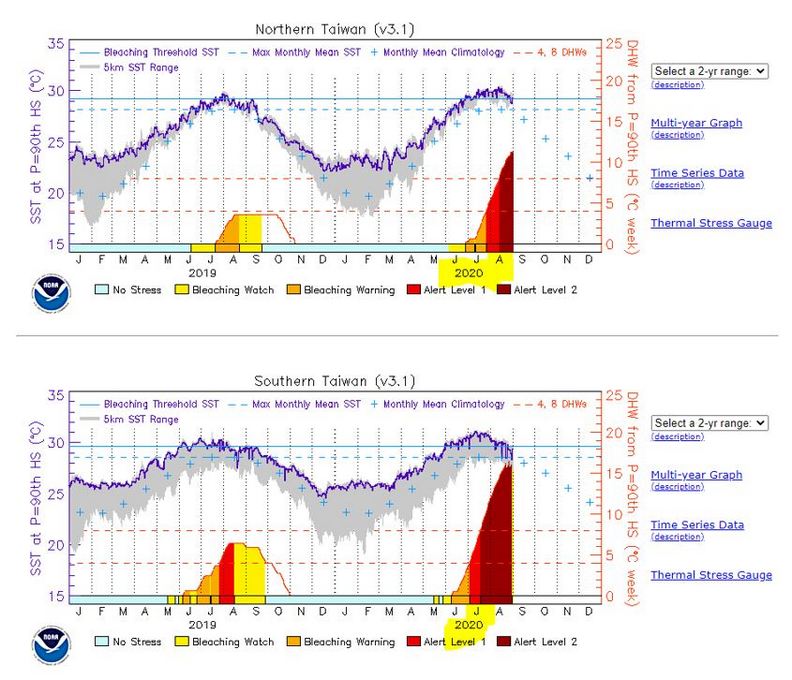 台灣的珊瑚白化警告,開始提升到最高的等級2