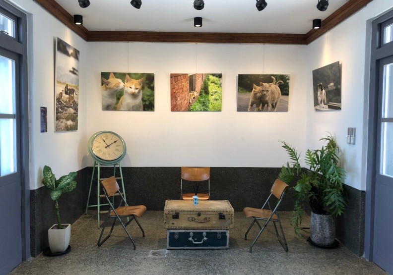 店內結合「貓夫人」攝影展,展示在當地馬崗社區拍攝的貓咪倩影。觀光局東北角管理處提供
