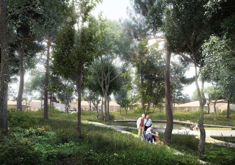 隨處可見的綠地和花園,讓人心情更放鬆。