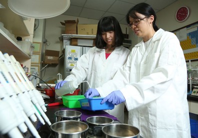 科技提升產能，農漁牧產業前景可期