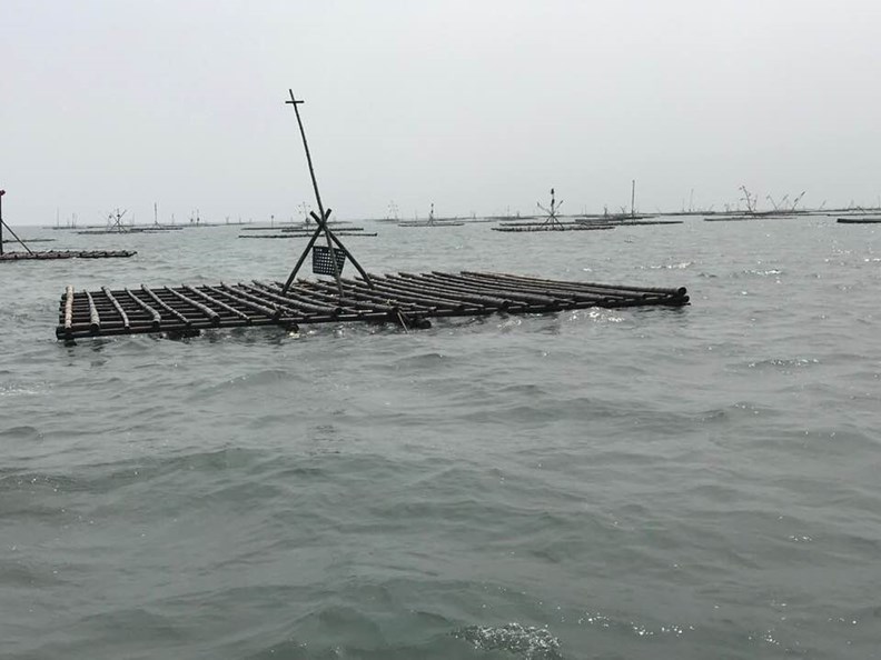 嘉義一帶的漁村景象。圖片取自臉書