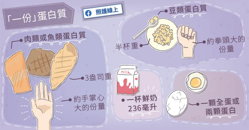一份蛋白質。