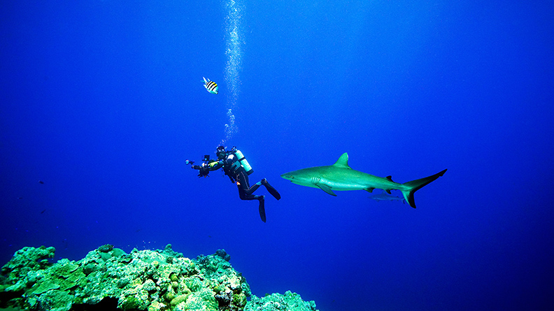 李景白：每次進到海裡，都好像進到另一個世界。