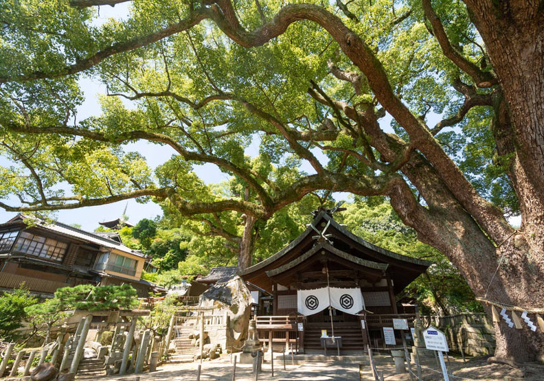 尾道市。圖片取自尾道観光協会臉書,ononavi.jp