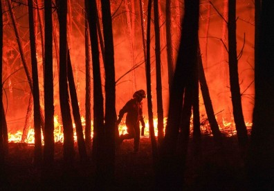 美國野火，助燃總統大選攻防