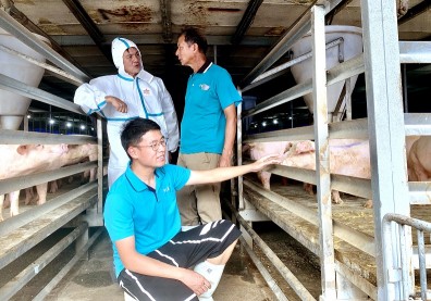 借鏡丹麥，屏科大重振台灣養豬王國雄風