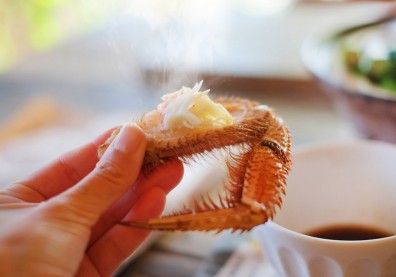吃螃蟹易中毒、引發過敏？不與柿子共食，注意５要點安心吃