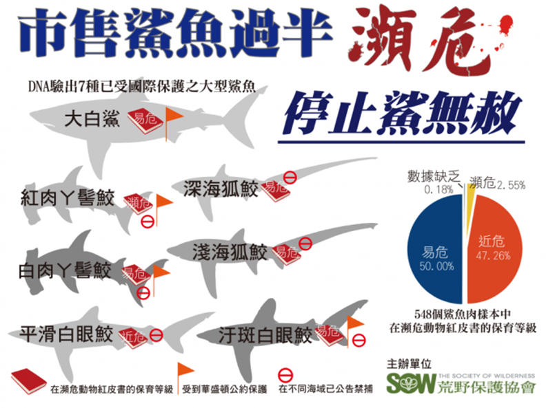 根據2013年荒野保護協會發表的「愛鯊DNA檢測計畫」資料顯示,當時有98%以上鯊魚肉樣本來自於近危、易危或瀕危等級的鯊魚品種。( 圖片來源:荒野保護協會)