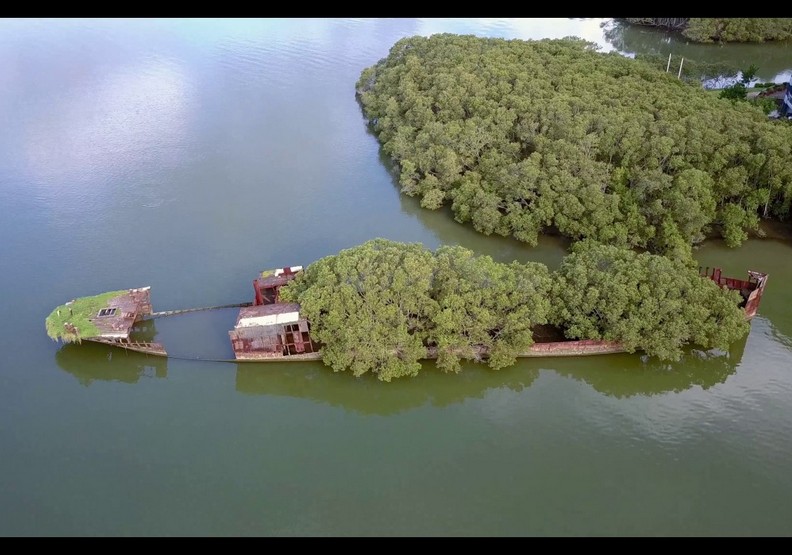 船體成了獨特的生態空間