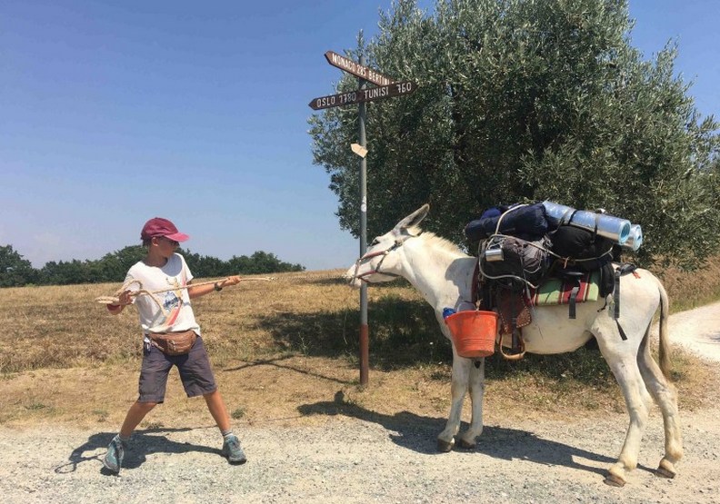在旅程中幫忙駝運行李的驢子