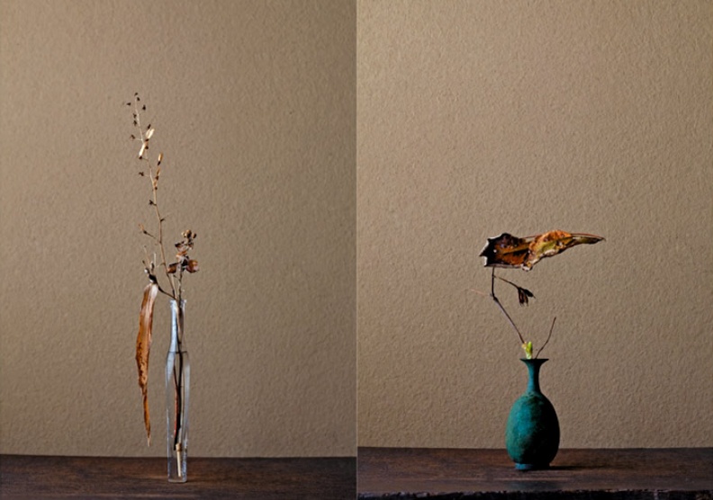 川瀨敏郎花藝設計作品。取自川瀨敏郎官網