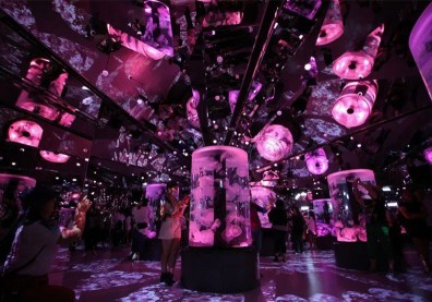 水母斷肢、魚撞玻璃惹議，Xpark發聲明回應：絕無虐待動物！