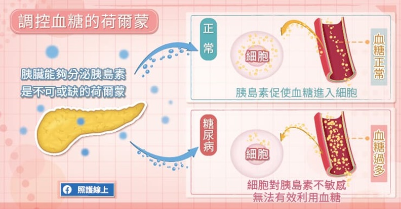 調控血糖的荷爾蒙。