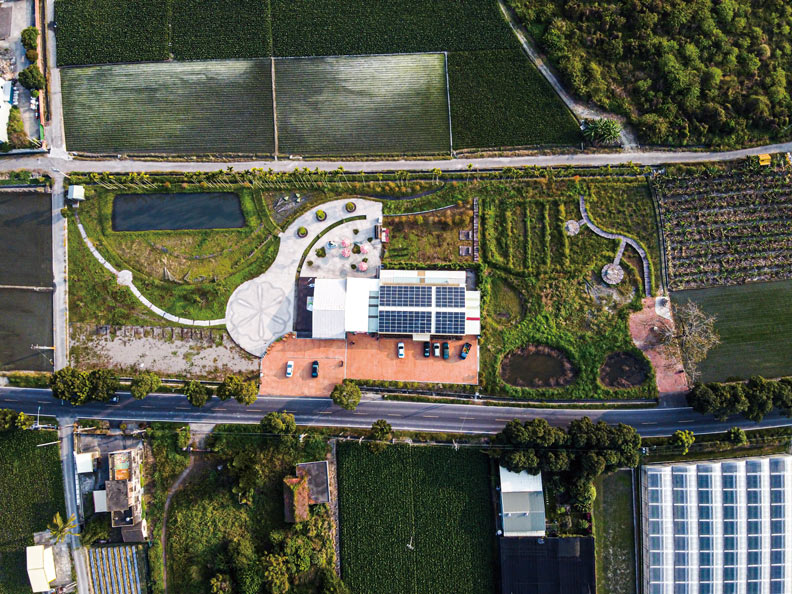 林內土壤肥沃、水源充足,適合種芋頭。