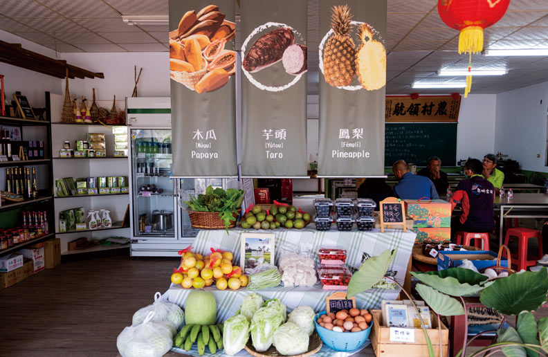 林內發展芋頭意外成功。