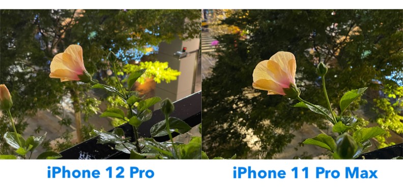擁有LiDAR光學雷達掃描儀的iPhone 12 Pro,夜間拍攝效果更加進化,低光源下依舊能快速自動對焦,拍下保留更多細節的亮麗照片。聯合新聞網提供