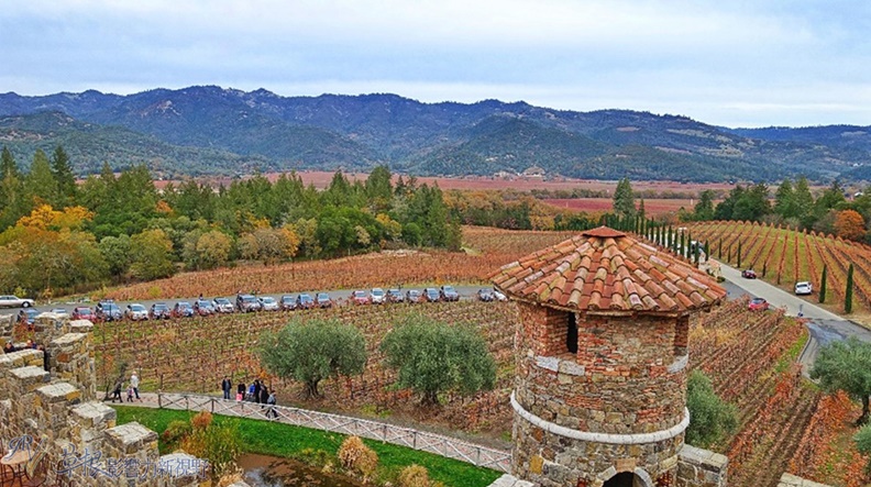 取自草根影響力新視野