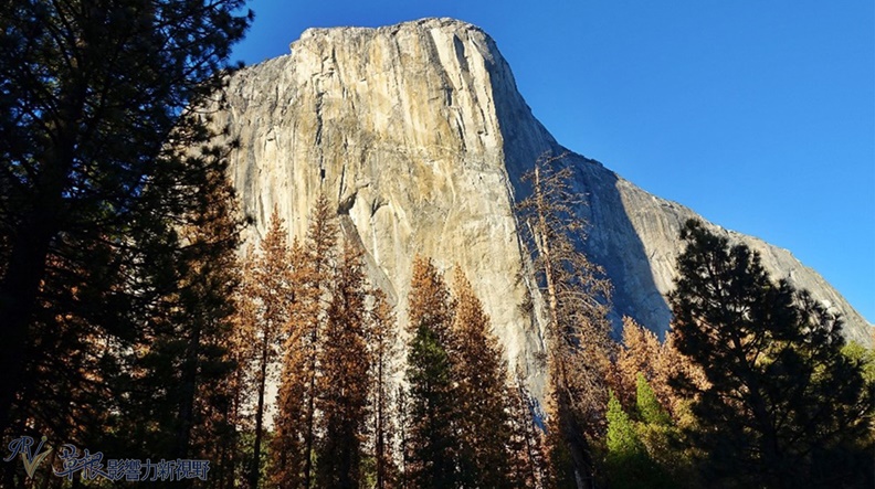 取自草根影響力新視野