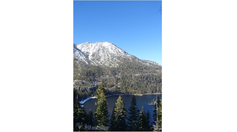 取自草根影響力新視野