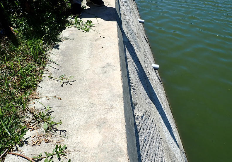 金沙溪流域水環境改善計畫(第一期)的陡直水泥護岸。圖片提供:台灣河溪網