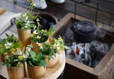 轉化大自然正能量 花癒力召喚幸福