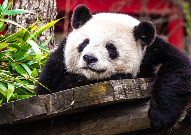 僅為情境配圖。取自Unsplash。