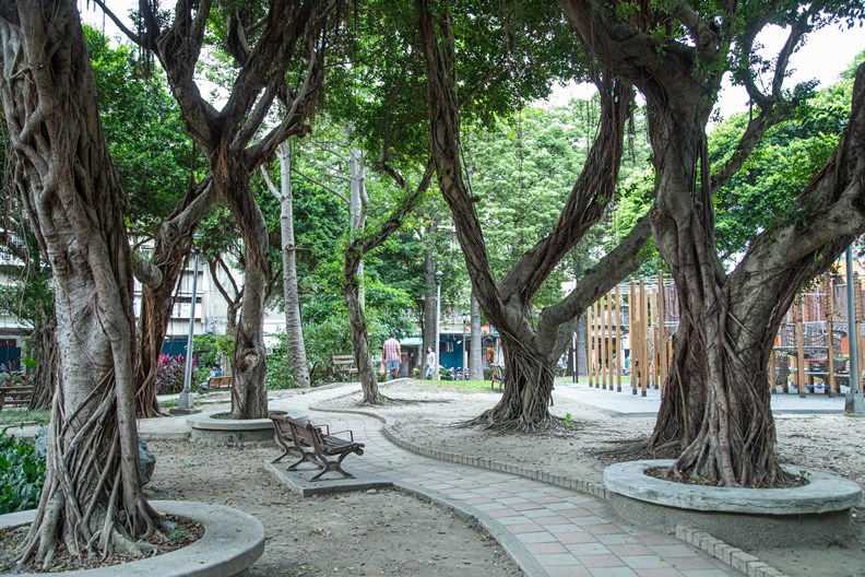 樹德公園是社區居民的活動中心。