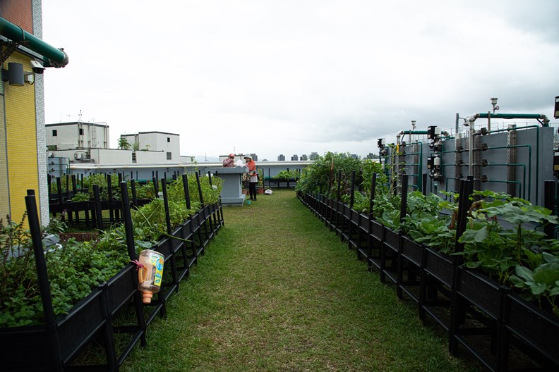 屋頂開心農場是住戶的最愛。