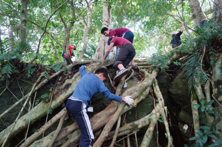 隱身山林間的鸞山森林文化博物館。來源:鸞山森林文化博物館