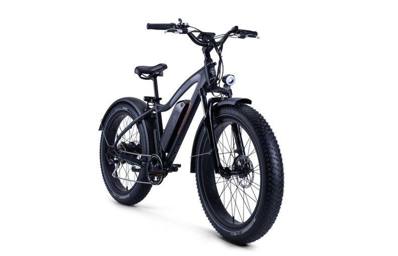 新一代的RadRover。取自Rad Power Bikes 官網