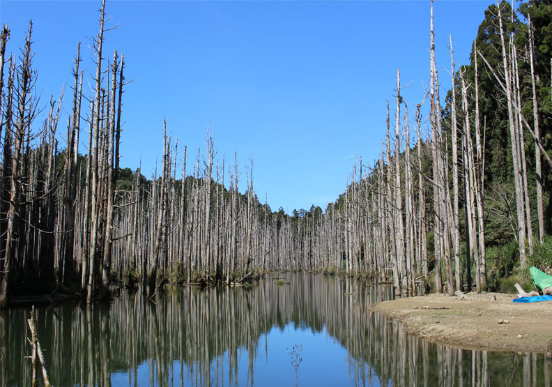 wikipedia by Dellinger Wu